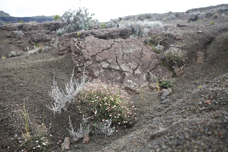 2023-04-25 reunion - piton de la fournaise