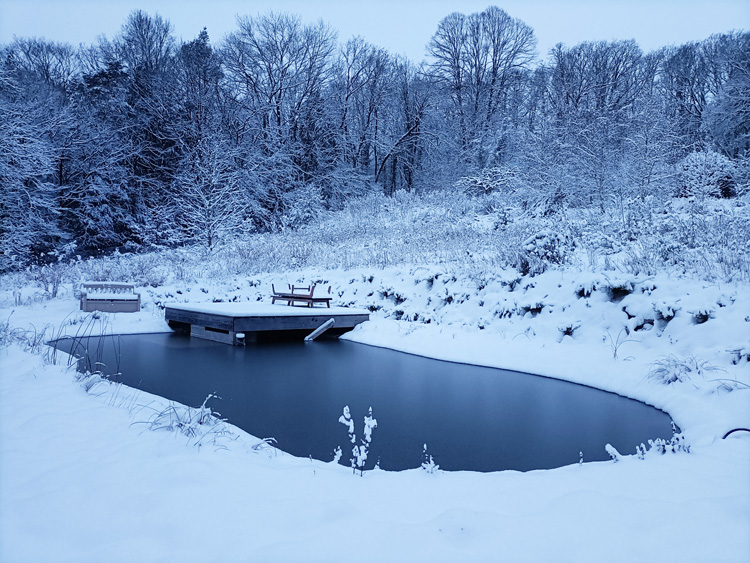 2024-01-09 jardin neige